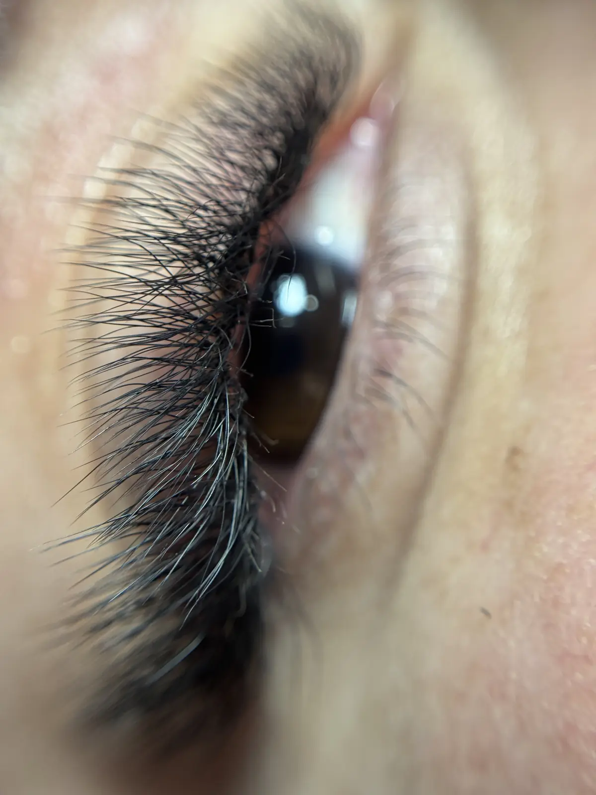 Efecto Foxy — efecto-foxy-764318.webp